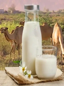 camel_milk