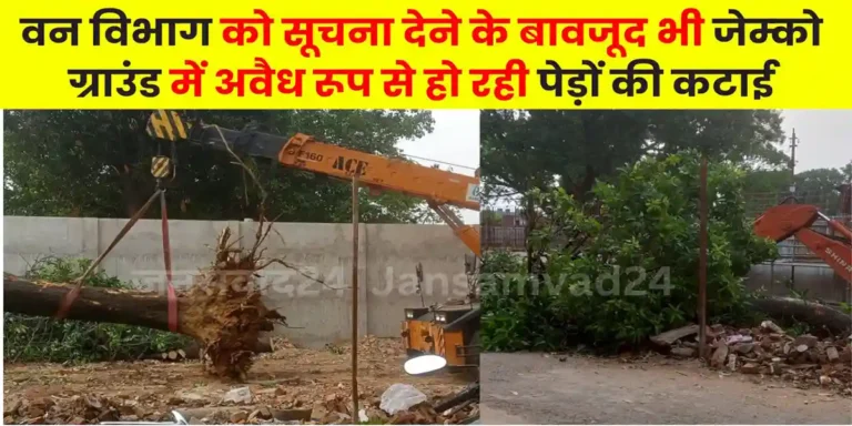 जेम्को ग्राउंड में अवैध रूप से हो रही पेड़ों की कटाई