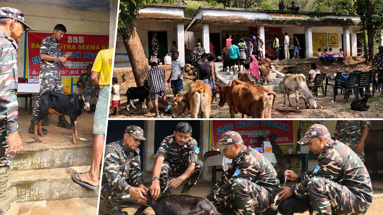 खरसावां पशु चिकित्सा शिविर